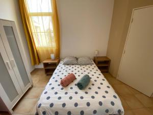 Appartements Appartement familial centre et plage : Appartement 1 Chambre
