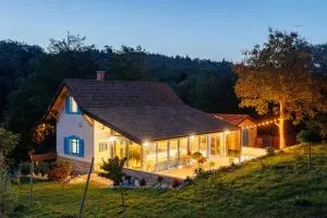 Fészek Villa - Gyůrůs