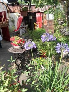B&B / Chambres d'hotes Chambre d-hote Amitie et Jardin : photos des chambres