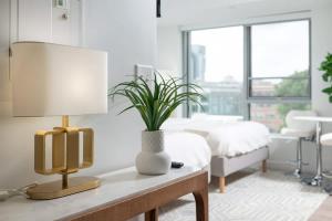 Luxury Studio King bed Gym near MIT Harvard