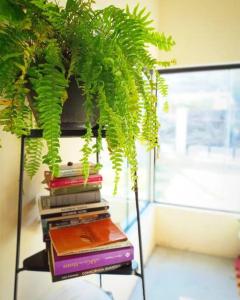 Casa ampla com vista para o mar