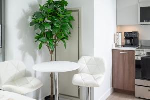 Lux Studio 2xQueen beds Gym near MIT Harvard