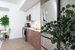 Lux Studio 2xQueen beds Gym near MIT Harvard