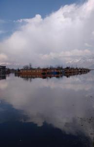 Island hotel and homestay