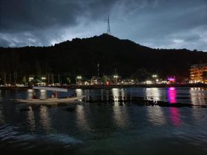 Island hotel and homestay