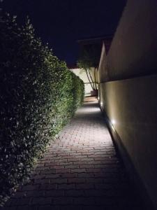 Roma Amore e Fantasia