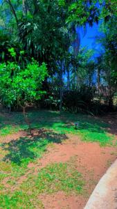 LUMA - Casa de Hospedaria