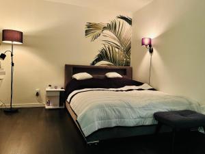 Apartament Pańska 5