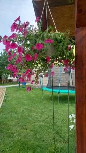 Andrić - Rudopolje Bruvanjsko