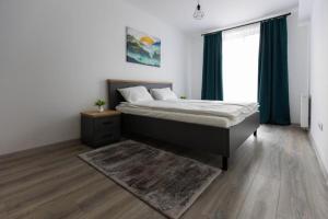 Dominic Junior Apartment Sighisoara