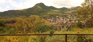 Nature Lover- Creve Coeur