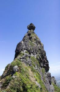 Nature Lover- Creve Coeur