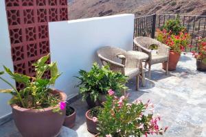 Casita Flor y Lluvia