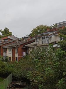 Beograd, Oaza Palilula, 2