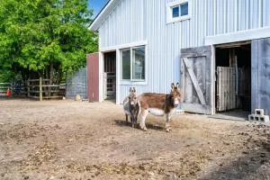 The Stone House Farm Stay - Harrow