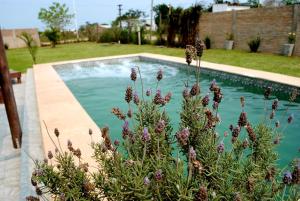 Suinda casa de campo