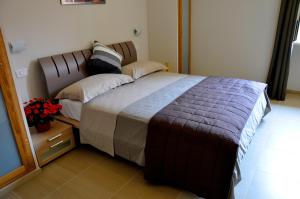 Vecchio Saracino - Carola 1801