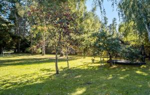 4 Bedroom Beautiful Home In Nykøbing Sj