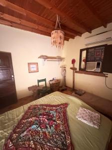 بيت الحكمة Beit Al Hekma