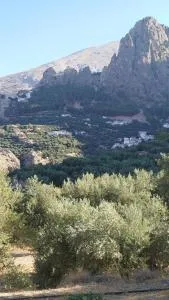 La parrilla - Quesada