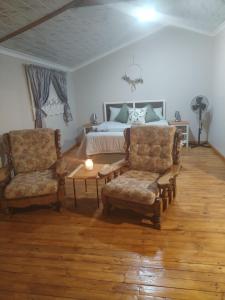 The olive branch cabins