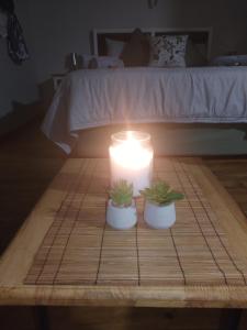 The olive branch cabins