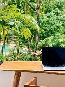 Jungle Suite 10 Mins to Beaches y Trendy Hotspots