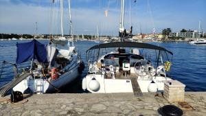 Bavaria C42 