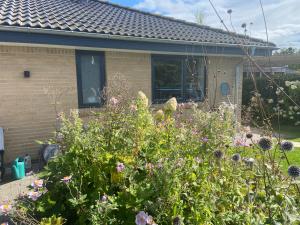 New House in Roskilde