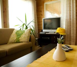 Salkolahti Lomamökit