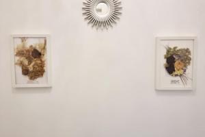 Tranquil and serene home WIFI, Parking and smart TV