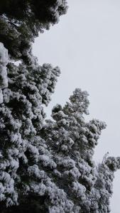 Eland Valley Resort
