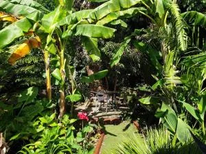 Your stay starts with dinner in our home - Raetihi