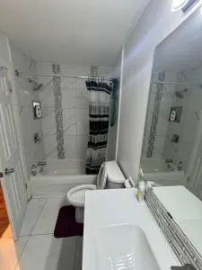 sandy home - Brampton