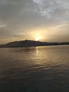 Mourad morsy مراد - Naj‘ al Madābb