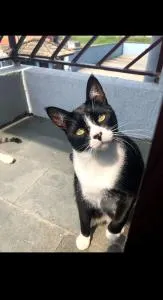 Férias Caraguatatuba - Mocoóca