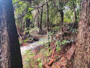 Crystal Cottage Retreat- Escape to the Hinterland!