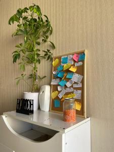 Departamento San Miguel