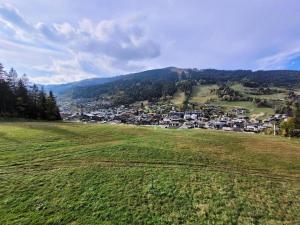 Résidence Grizzly - Appartement skis aux pieds, entièrement rénové MAE-1051