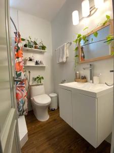 Comfort and Design in a Cosmopolitan Neighborhood