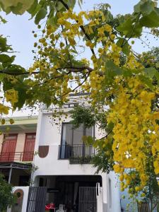 LavA homestay