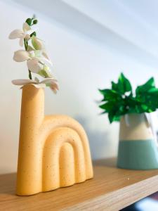 Flatzin Porto de Galinhas Praia e Centrinho