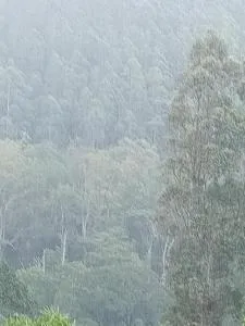 Mountplaza ohiya - Boralanda