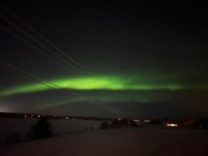 Riverside Cottage Aalto Borealis