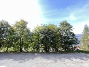 Appartement 3 pièces pour 6 personnes à Plan Peisey, accès direct pistes - FR-1-757-121