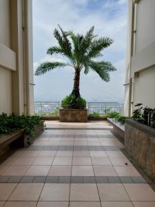 The Celandine Balintawak Quezon City