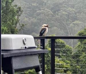 Amaroo Valley Springs