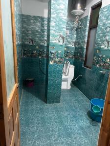 Ronak Hilltop Homestay Kasol