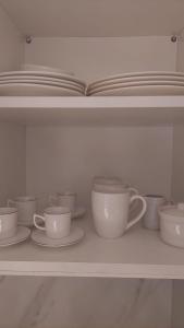 Recoleta de ensueños