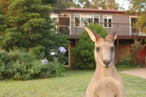 Jan's Retreat by Experience Jervis Bay - Erowal Bay